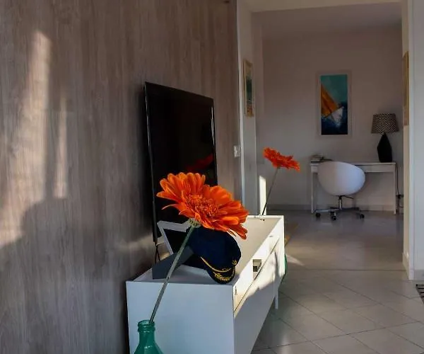 Novigrad Boutique