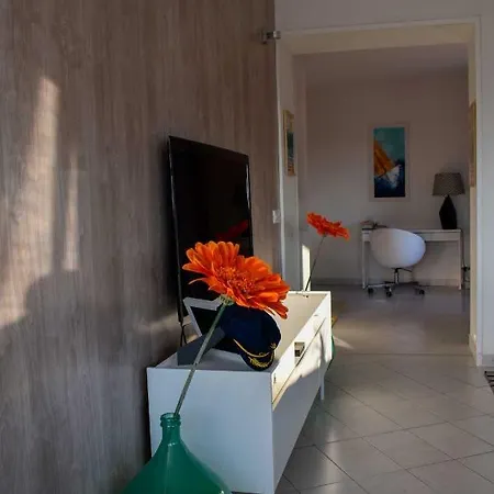 Novigrad Boutique